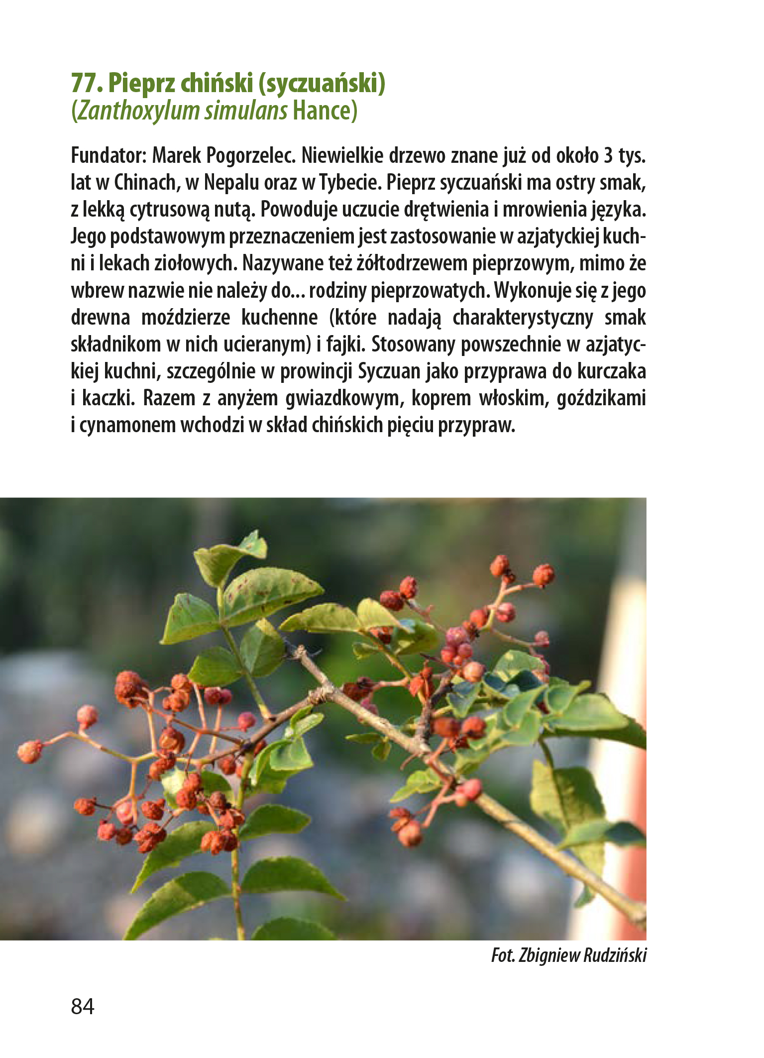 Okładka - Drzewa i krzewy Edukacyjnego Parku Dendrologicznego PTTK w Mościcach
